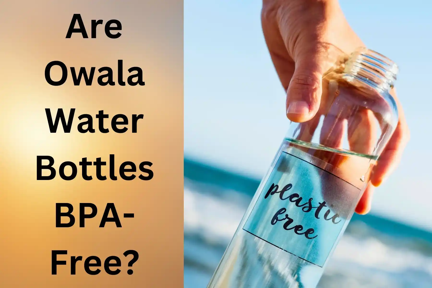 are owala water bottles bpa free