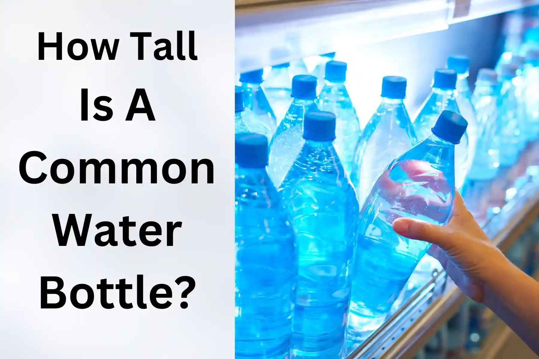 how tall is a water bottle?